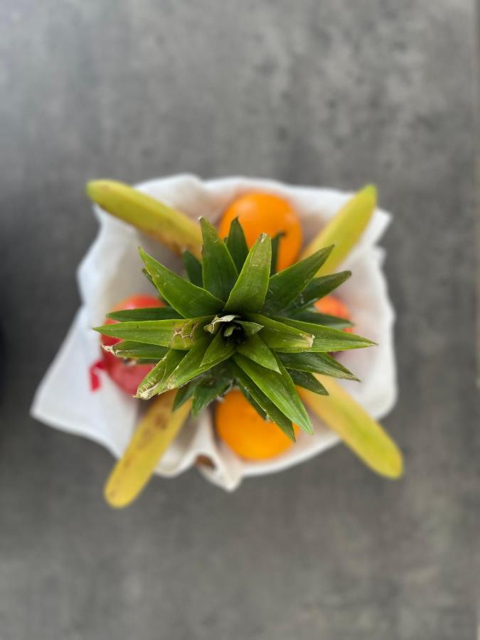 Au Perchoir Lejlighed Caunes-Minervois Eksteriør billede
