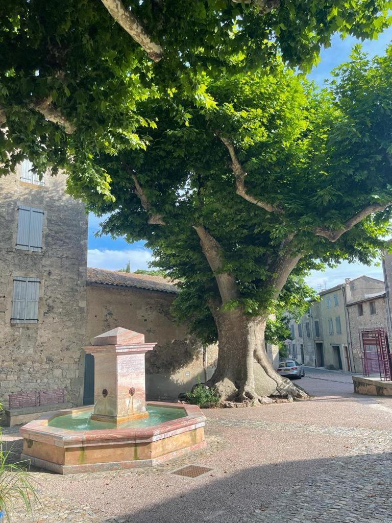 Au Perchoir Lejlighed Caunes-Minervois Eksteriør billede